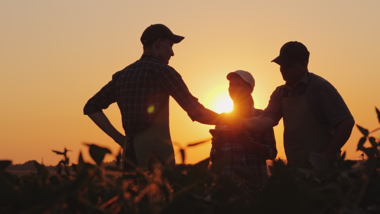 O Sistema Faemg/SENAR, em parceria com o Sindicato Rural de Uberlândia, está com inscrições abertas para novos cursos gratuitos que serão oferecidos entre outubro e novembro.