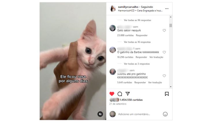 Gatinho da Barbie