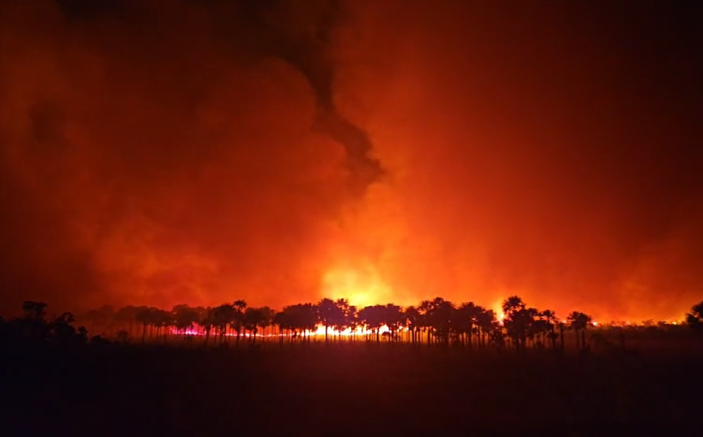 incendio caça e pesca