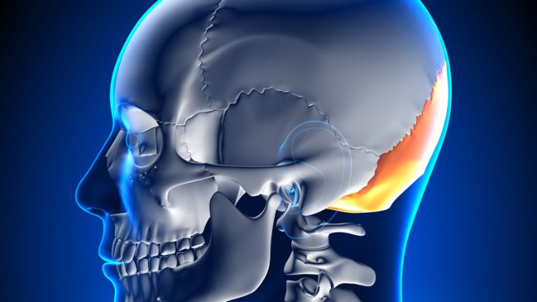 região occipital