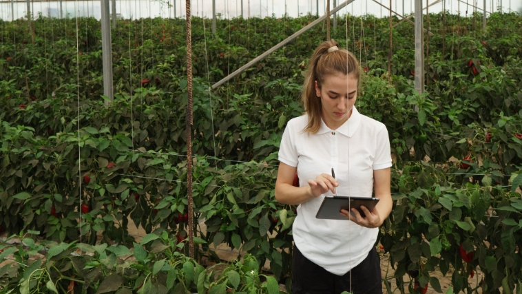 Vaga de Monitor Agrícola está entre os salários mais altos do Sine Araxá - Crédito: Freepik 