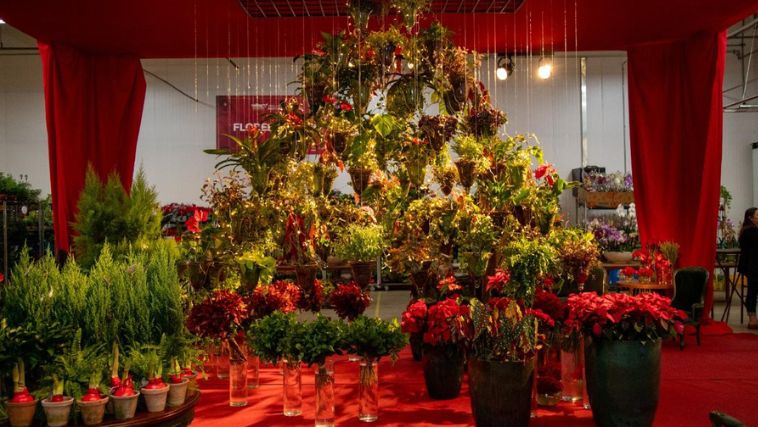 Mais de 500 espécies de plantas de todo o país serão expostas na Feira de Flores e Plantas - Crédito: 