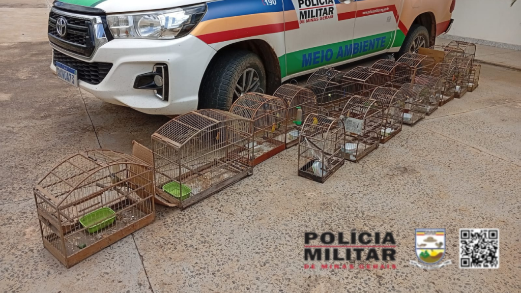 aves-cativeiro-avará Aves em cativeiro