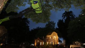 Uberlândia começa a se preparar para o Natal