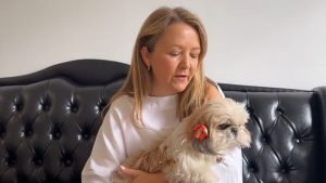 Cachorra desaparecida é encontrada