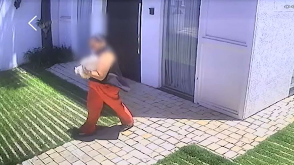 Cachorrinha sendo levada no bairro Lídice