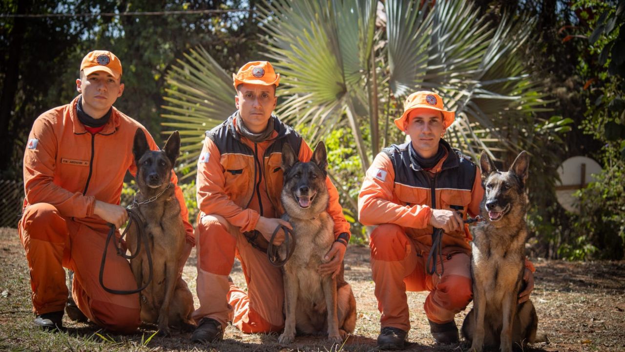 Canil dos Bombeiros de Uberaba é referência em Minas Gerais Canil dos Bombeiros de Uberaba é referência em Minas Gerais