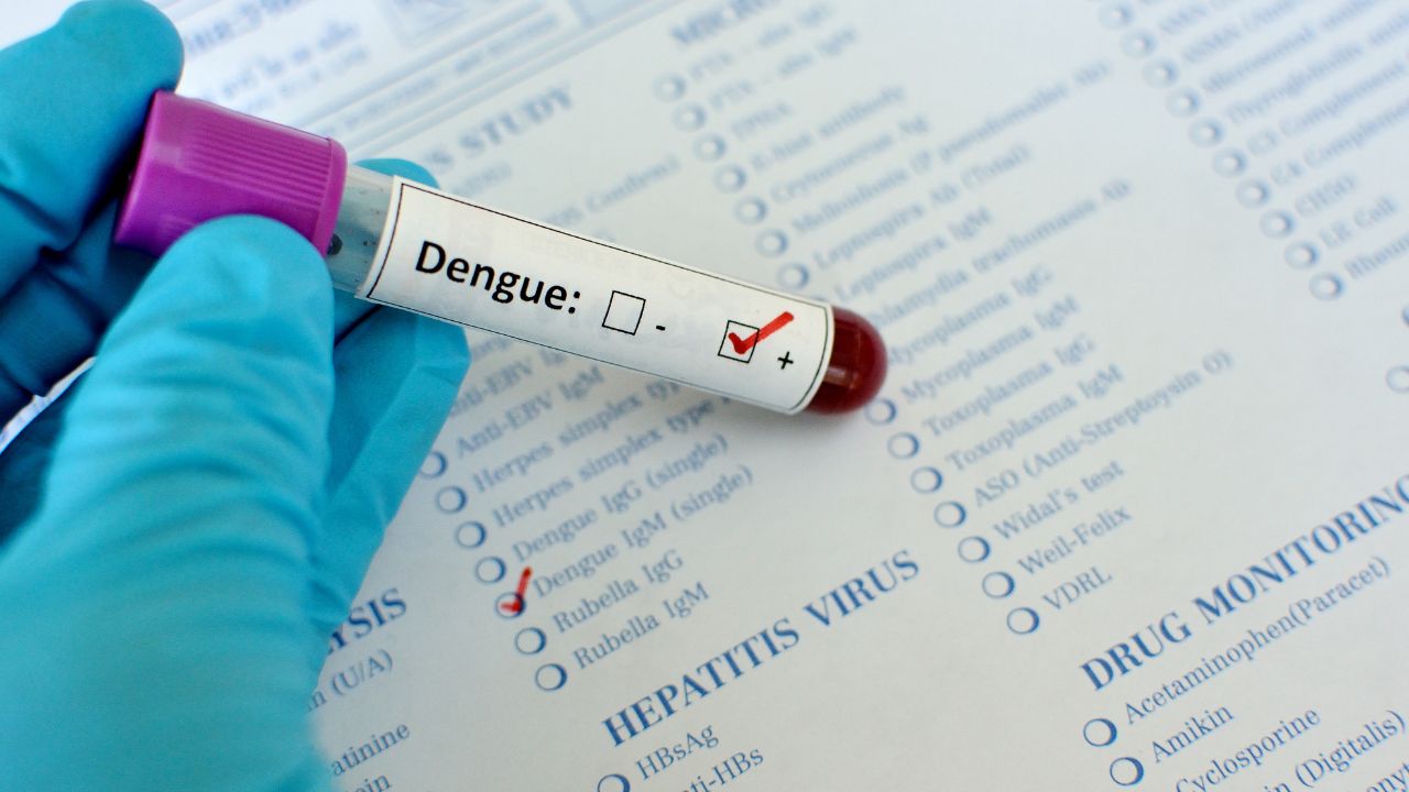 Casos de dengue em Uberlândia e região