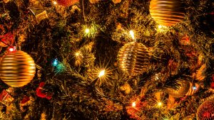 Frases para desejar um Feliz Natal 