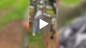 VÍDEO: idoso é agredido por familiar em chácara no bairro Morada Nova, em Uberlândia