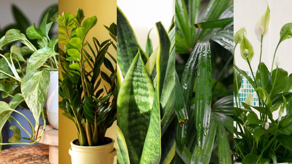 plantas de apartamento Plantas de apartamento