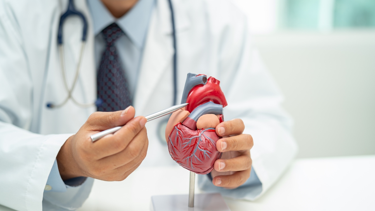 O consumo de pré-treinos e energéticos está associado ao aumento de pressão, aumento do risco de arritmia e pode até levar ao infarto 