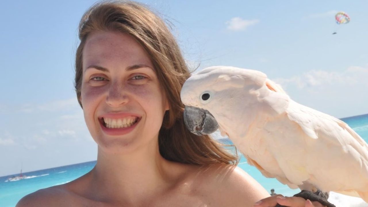 Vítima do avião que se acidentou em Ubatuba