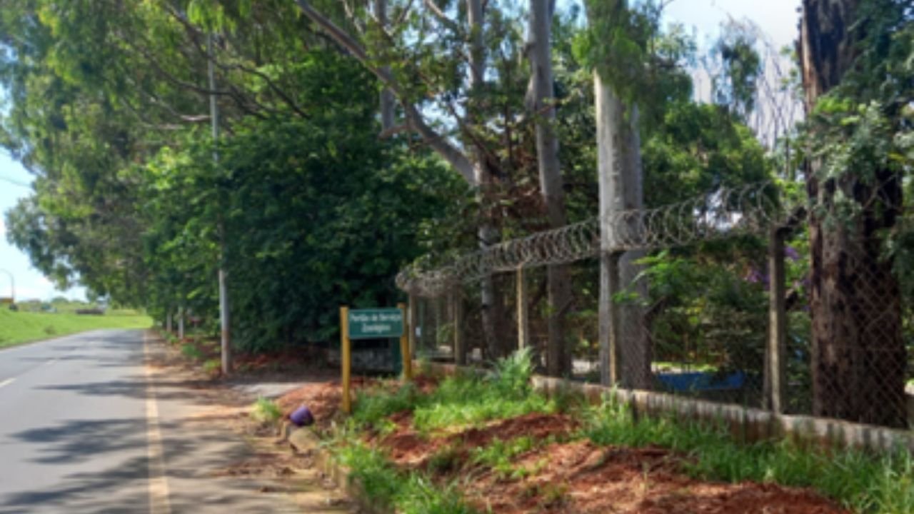 Ministério Público exige melhorias em rua no entorno do Parque do Sabiá