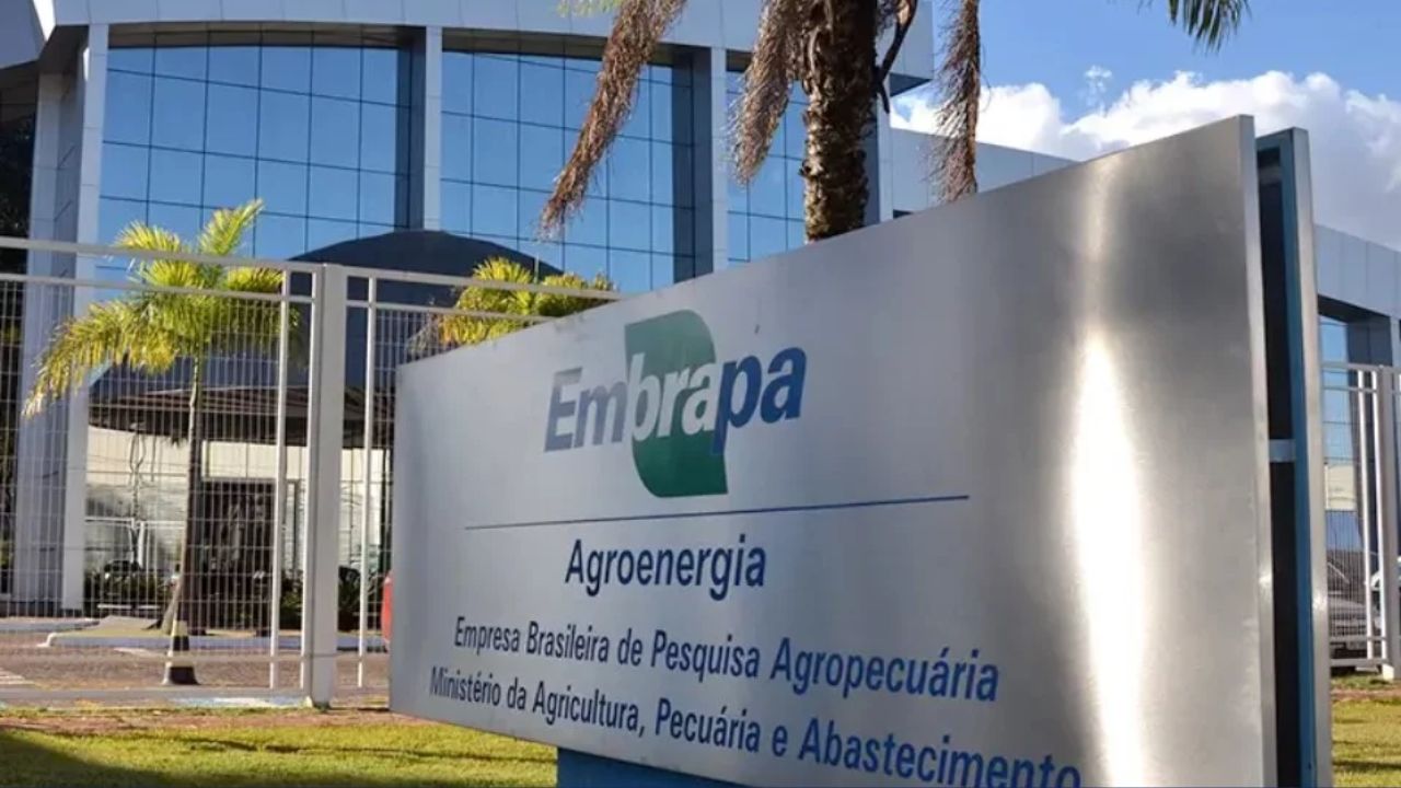 Concurso da Embrapa acontece após anos de aguardo