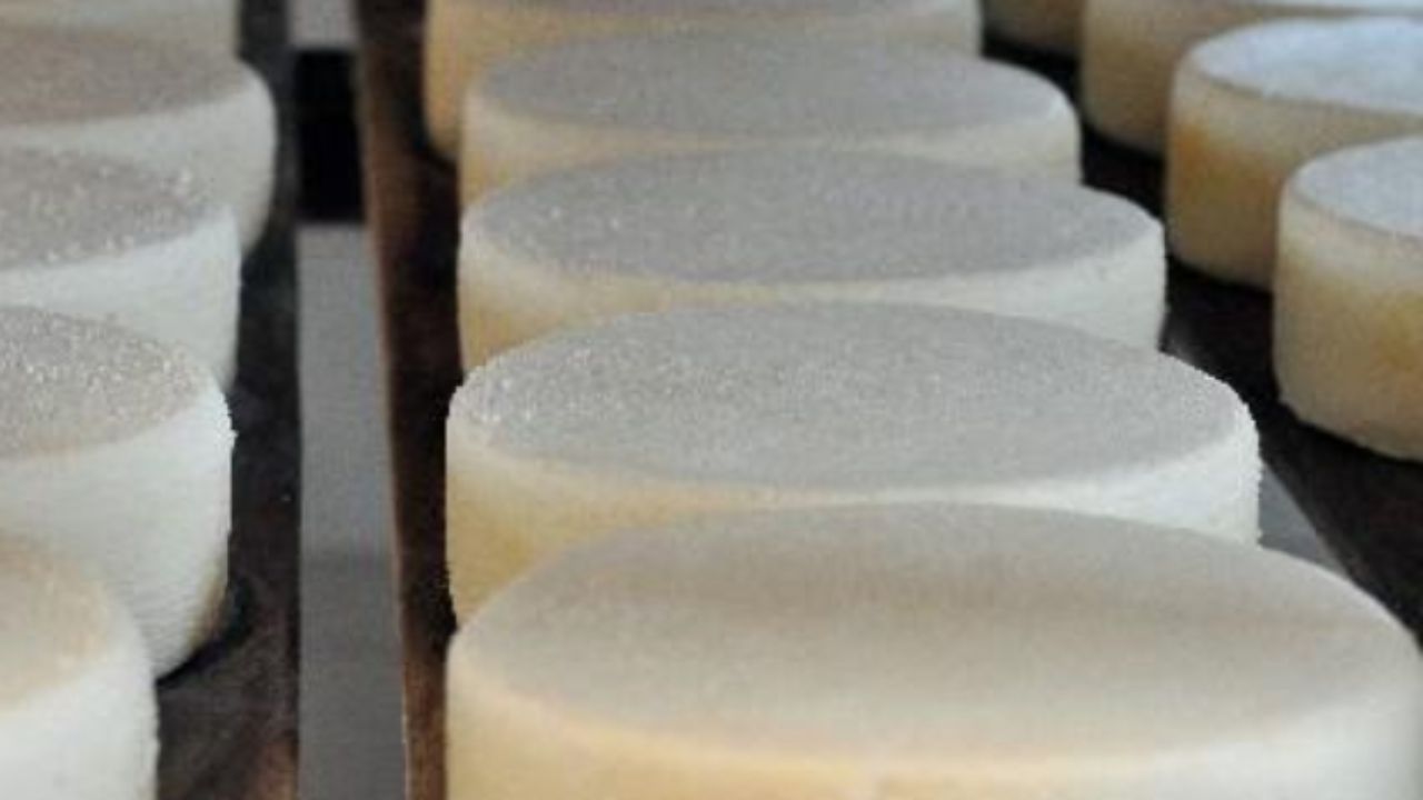 Concurso Regional de Queijo Minas Artesanal acontece neste fim de semana em Uberlândia
