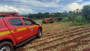 Agricultor e filhos escapam de eletrocussão
