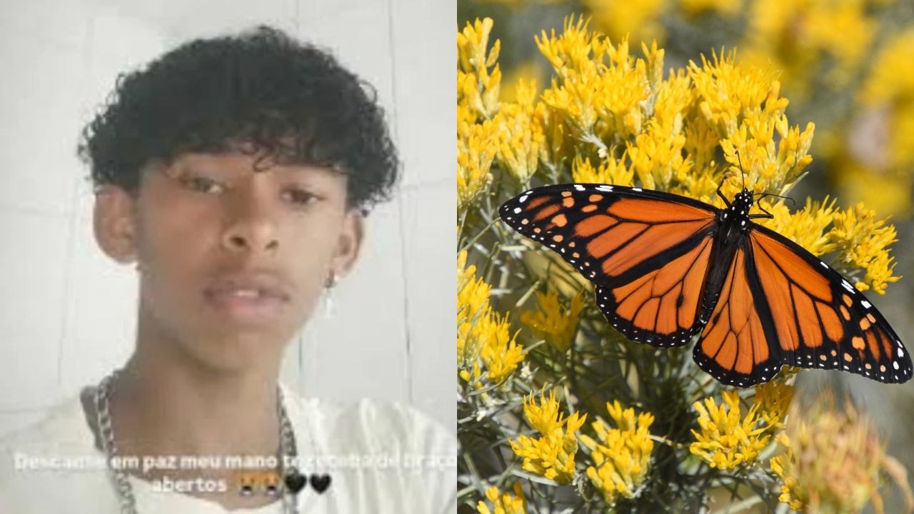 jovem-morre-apos-injetar-boboleta-morta-veia