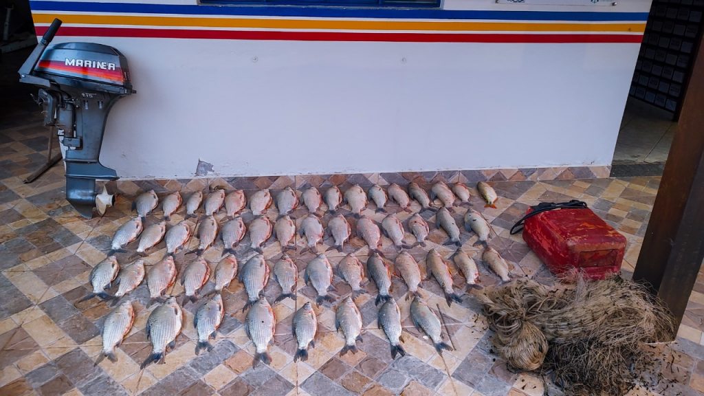 Pesca ilegal é descoberta em São Gonçalo do Abaeté - Crédito: Polícia Militar pesca ilegal