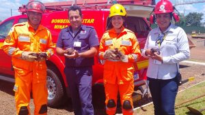 Cadela e 13 filhotes são resgatados em buraco de captação de água em Ituiutaba