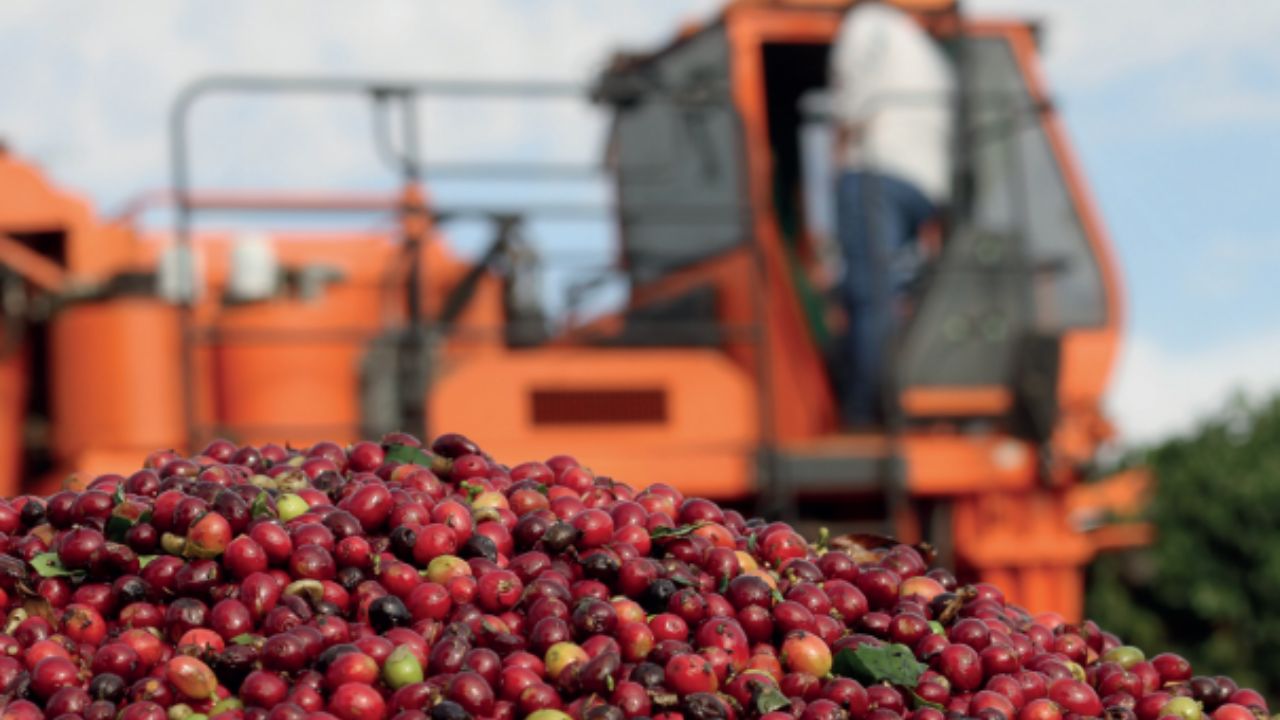Rota do Café do Cerrado Mineiro permite visitantes conhecerem fazendas da região