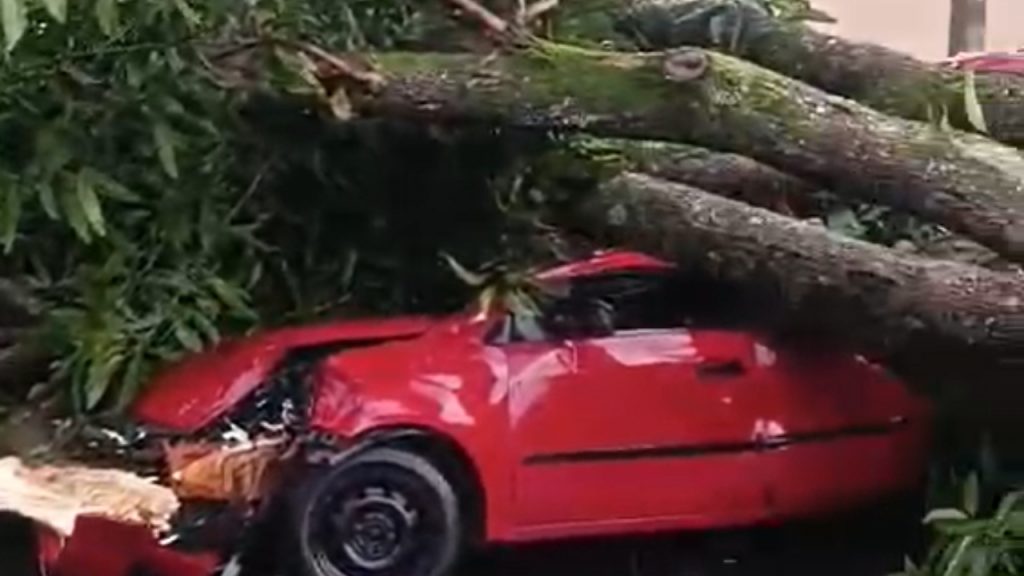 Durante o vendaval em Uberlândia, uma árvore caiu e destruiu um carro chuva e queda de árvore