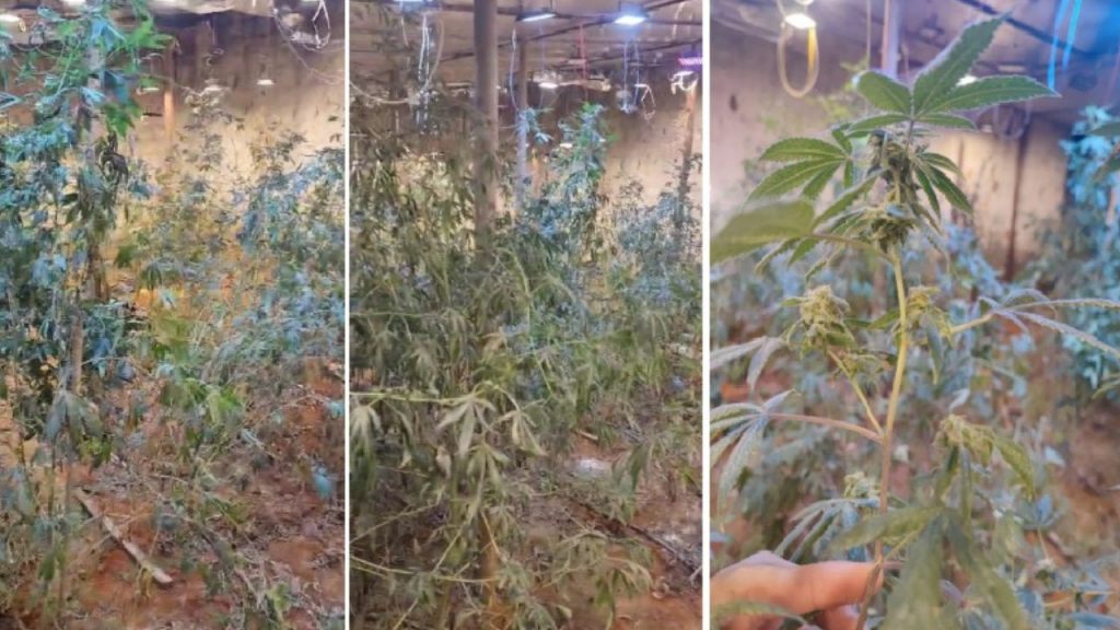Um laboratório para preparação de drogas foi encontrado