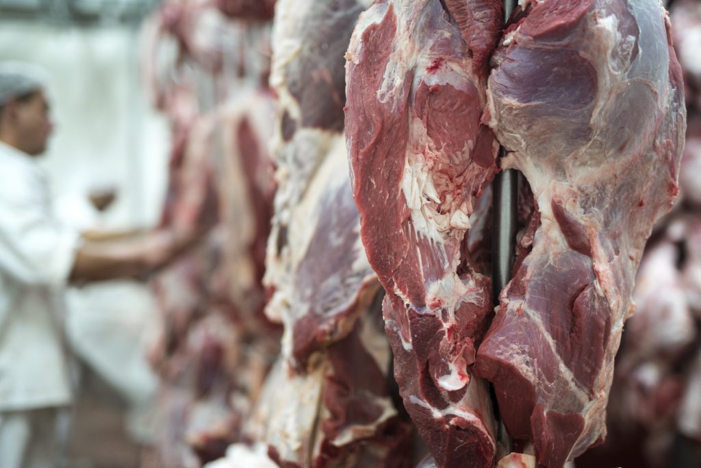 Carne