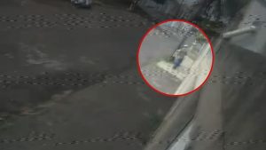 Câmera flagra homem furtando lixeira de calçada em Uberlândia