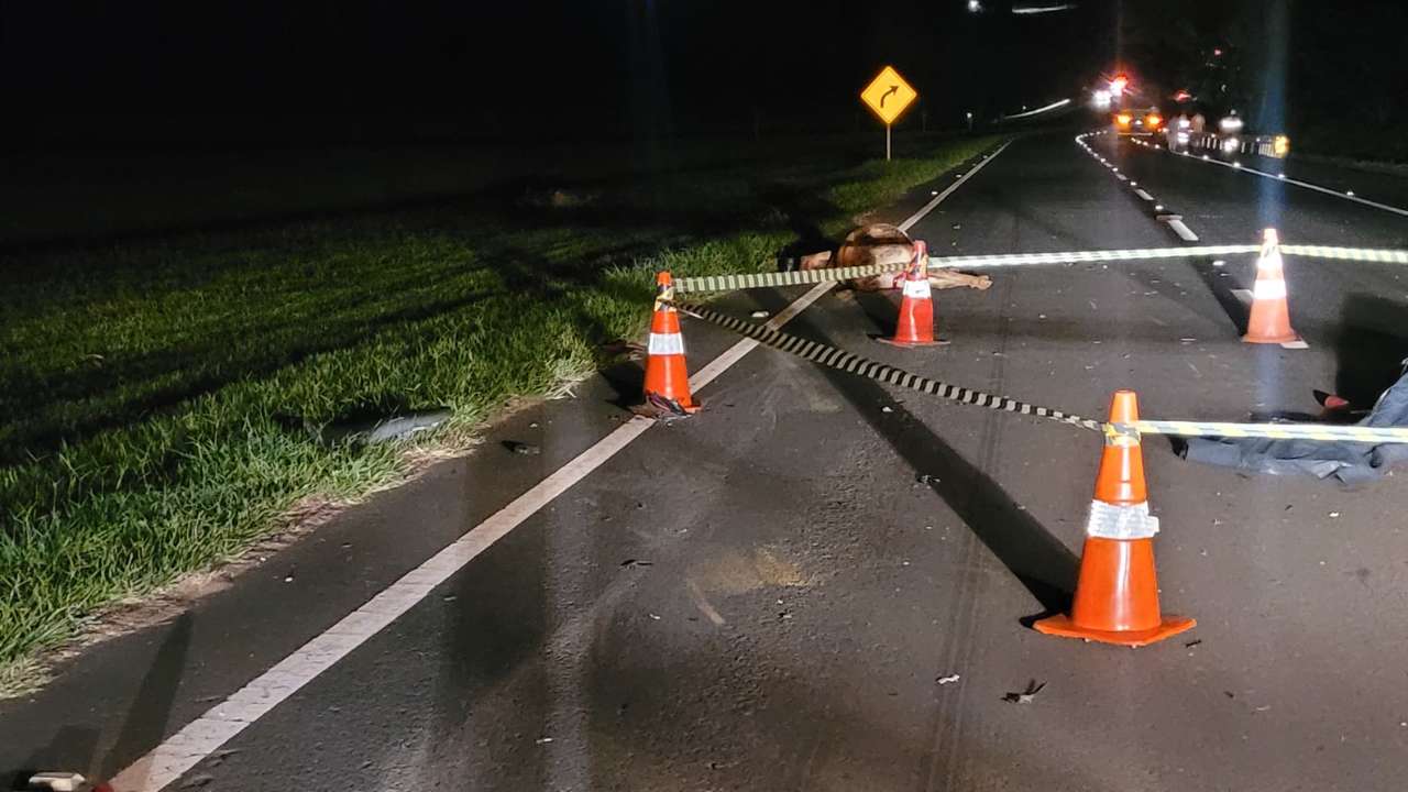 Motociclista morre após colisão com vaca em Uberlândia