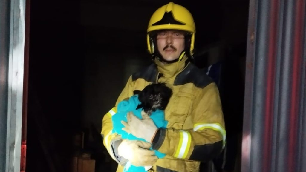 Bombeiro segurando cachorrinho salvo em incêndio em Uberaba.