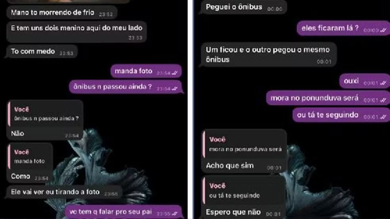 Adolescente relatou perseguição em áudios e mensagens de texto enviadas para uma amiga - Crédito: divulgação Vitória desaparecida