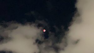 Lua de Sangue