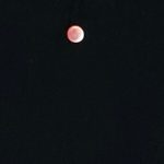 Lua de Sangue