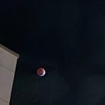 Lua de Sangue