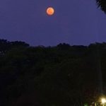 Lua de Sangue