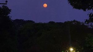 Lua de Sangue