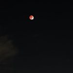Lua de Sangue