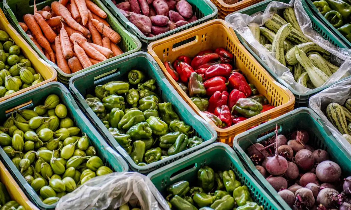 Alimentação