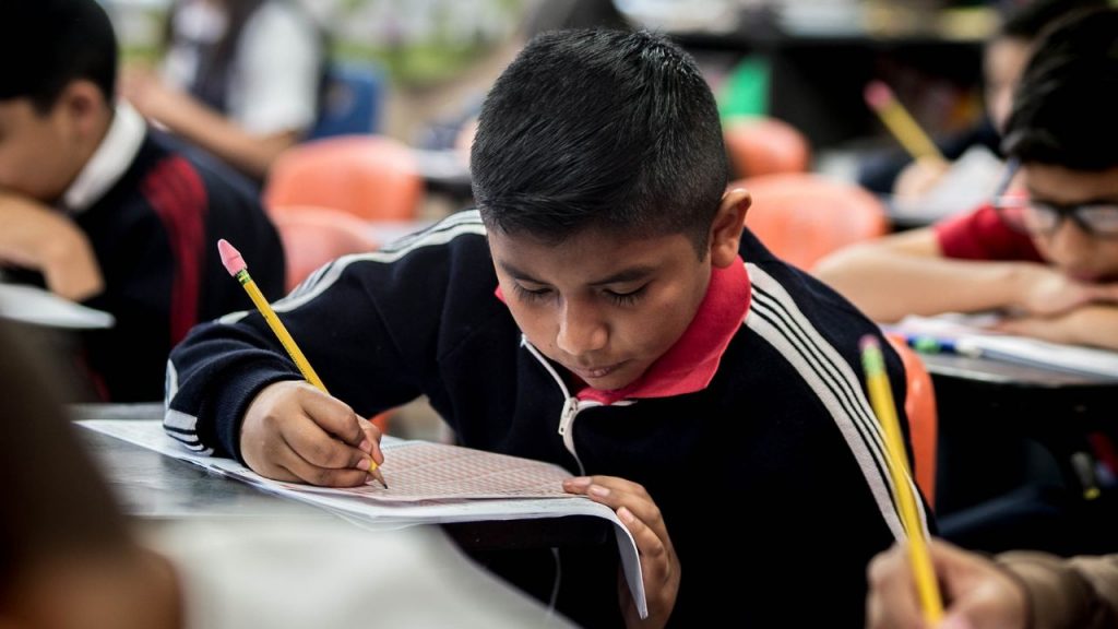 A base da cidadania é a educação