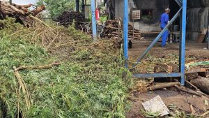 A maconha foi queimada em uma empresa no Distrito Industrial