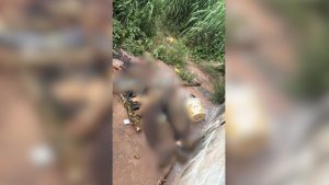 Vítima apresentava afundamento de crânio devido aos golpes de porrete