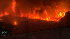 O vigilante denunciou que se tratou de um incêndio criminoso