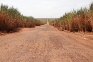 Caminhos para Avançar