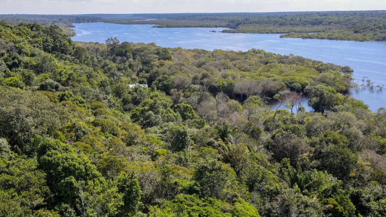 Amazônia