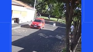 Atropelado
