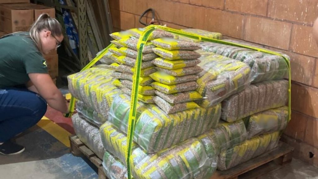 Arroz embalado em Uberlândia é apreendido pelo Mapa por qualidade inferior em SP