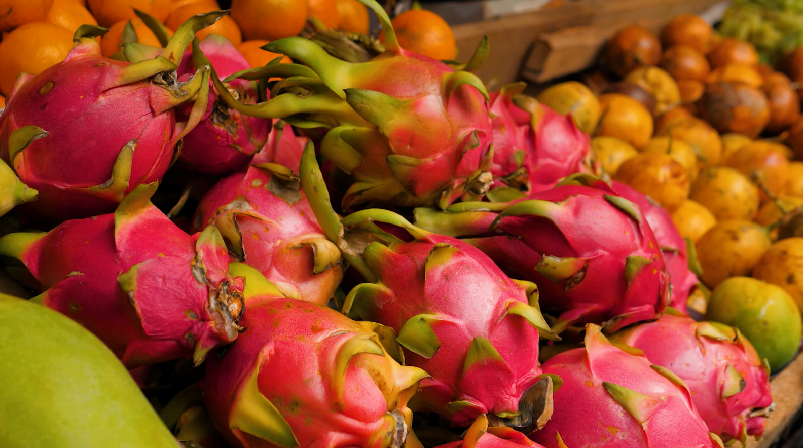 pitaya-uberaba A pitaya, conhecida por sua aparência vibrante e sabor único, ganha cada vez mais espaço no mercado de produtos artesanais em Uberaba