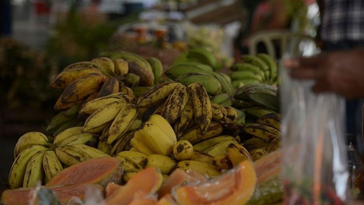 Sazonais
