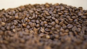 cafés especiais - Café impulsiona exportações do agronegócio mineiro em 2025